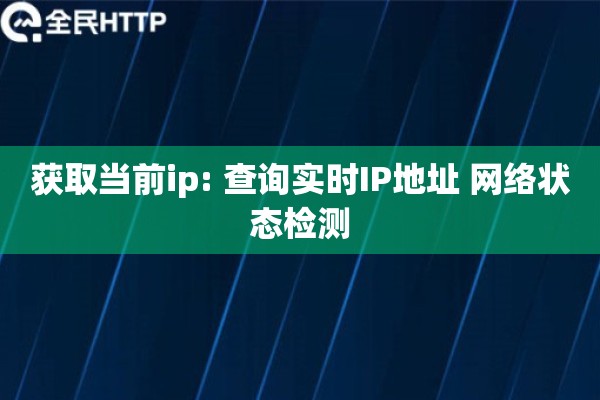 获取当前ip: 查询实时IP地址 网络状态检测