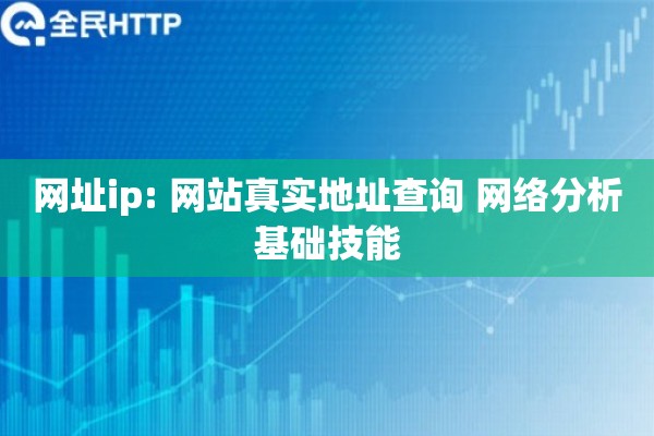 网址ip: 网站真实地址查询 网络分析基础技能