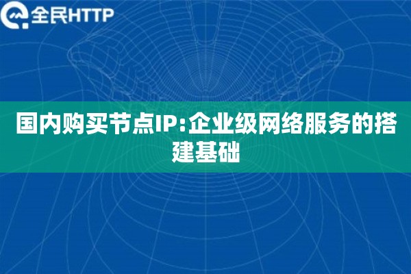 国内购买节点IP:企业级网络服务的搭建基础