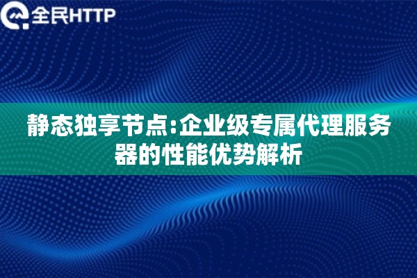 静态独享节点:企业级专属代理服务器的性能优势解析