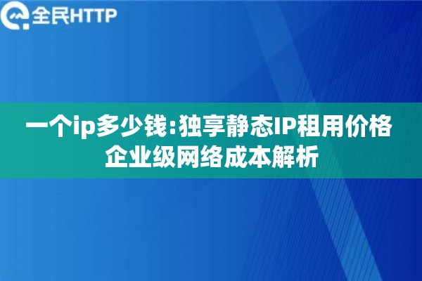 一个ip多少钱:独享静态IP租用价格 企业级网络成本解析