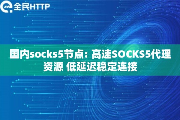 国内socks5节点: 高速SOCKS5代理资源 低延迟稳定连接
