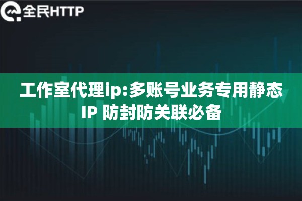 工作室代理ip:多账号业务专用静态IP 防封防关联必备