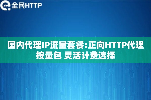 国内代理IP流量套餐:正向HTTP代理按量包 灵活计费选择