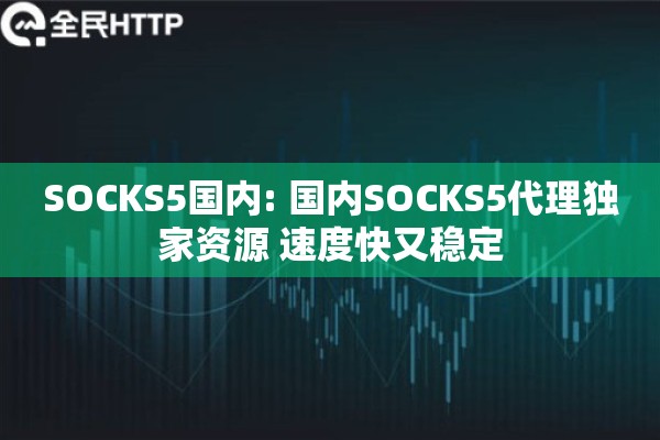 SOCKS5国内: 国内SOCKS5代理独家资源 速度快又稳定