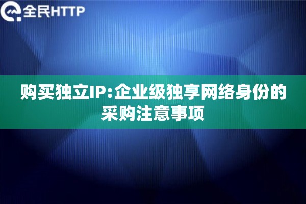 购买独立IP:企业级独享网络身份的采购注意事项