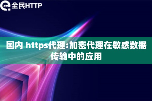 国内 https代理:加密代理在敏感数据传输中的应用