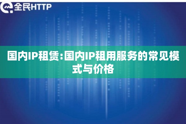 国内IP租赁:国内IP租用服务的常见模式与价格