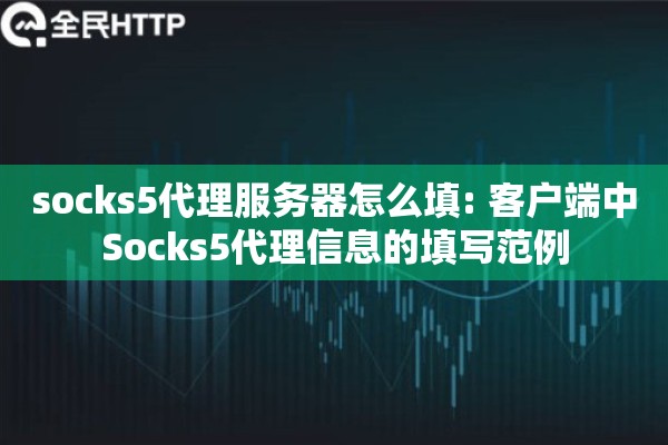 socks5代理服务器怎么填: 客户端中Socks5代理信息的填写范例