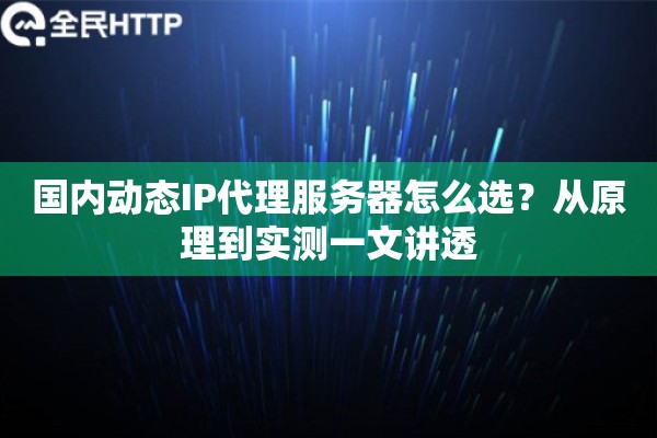国内动态IP代理服务器怎么选？从原理到实测一文讲透