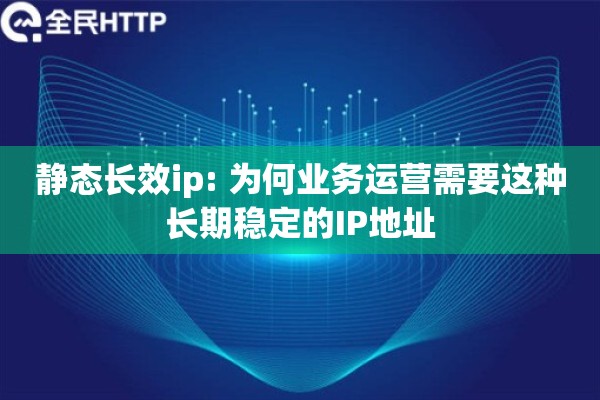 静态长效ip: 为何业务运营需要这种长期稳定的IP地址
