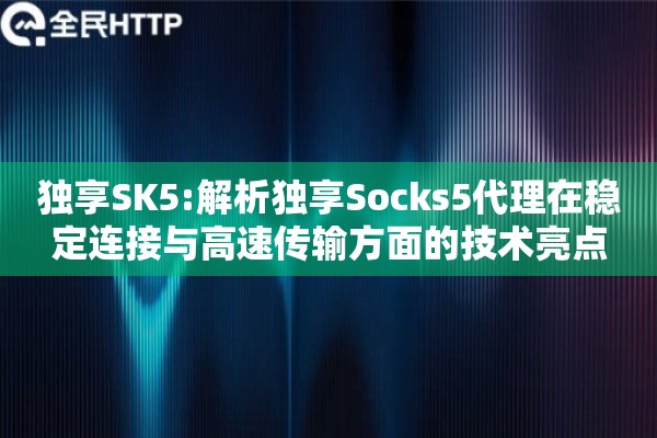 独享SK5:解析独享Socks5代理在稳定连接与高速传输方面的技术亮点