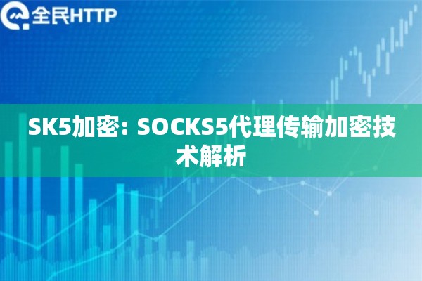 SK5加密: SOCKS5代理传输加密技术解析 SK5加密: SOCKS5代理传输加密技术解析