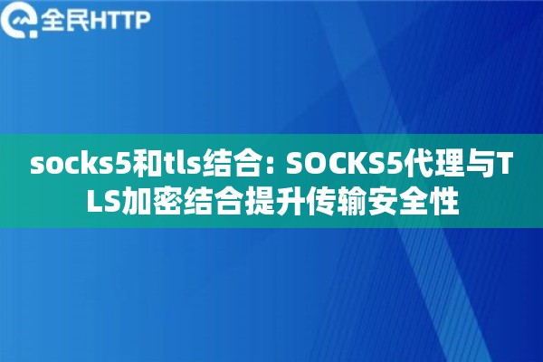 socks5和tls结合: SOCKS5代理与TLS加密结合提升传输安全性