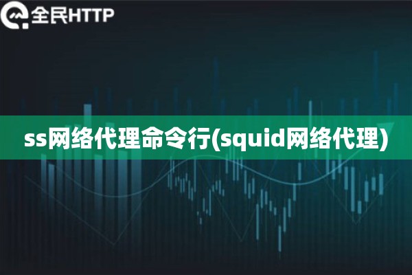 ss网络代理命令行(squid网络代理)