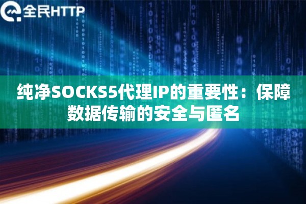 纯净SOCKS5代理IP的重要性:保障数据传输的安全与匿名 纯净SOCKS5代理IP的重要性:保障数据传输的安全与匿名