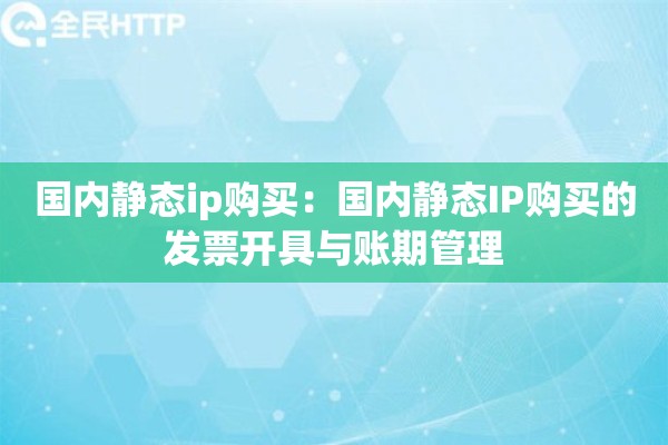 国内静态ip购买：国内静态IP购买的发票开具与账期管理