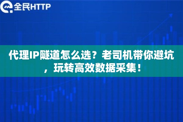 代理IP隧道怎么选？老司机带你避坑，玩转高效数据采集！