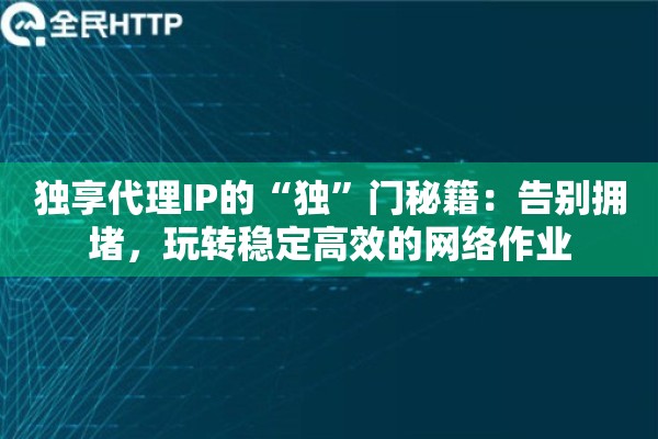独享代理IP的“独”门秘籍：告别拥堵，玩转稳定高效的网络作业
