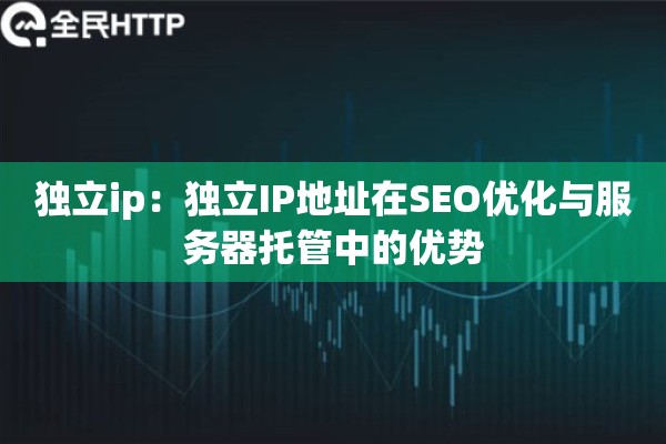 独立ip：独立IP地址在SEO优化与服务器托管中的优势
