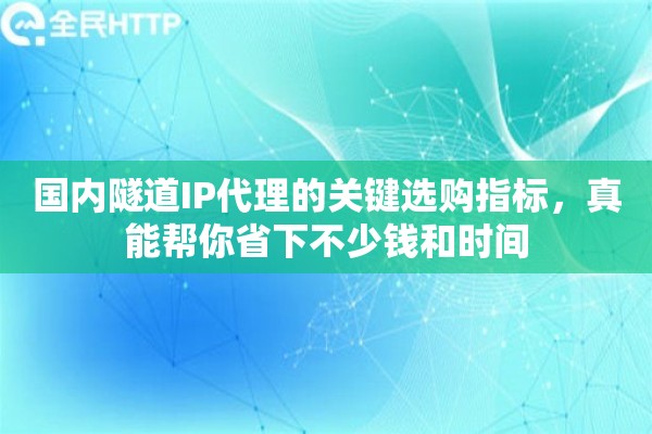 国内隧道IP代理的关键选购指标，真能帮你省下不少钱和时间