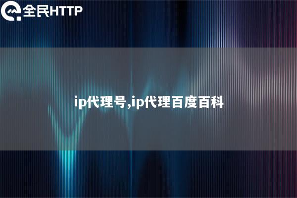 ip代理号,ip代理百度百科