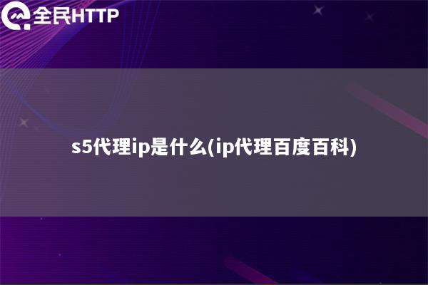 s5代理ip是什么(ip代理百度百科)