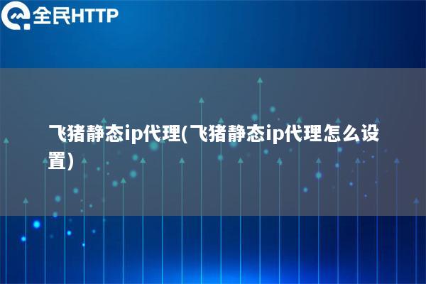 ipipgo静态ip代理(ipipgo静态ip代理怎么设置)